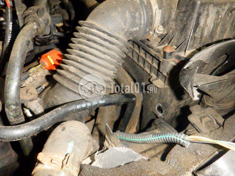 Фото Ford EcoSport 244