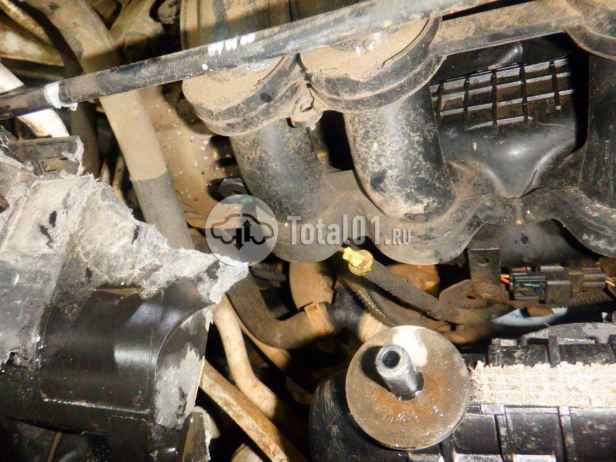 Фото Ford EcoSport 246