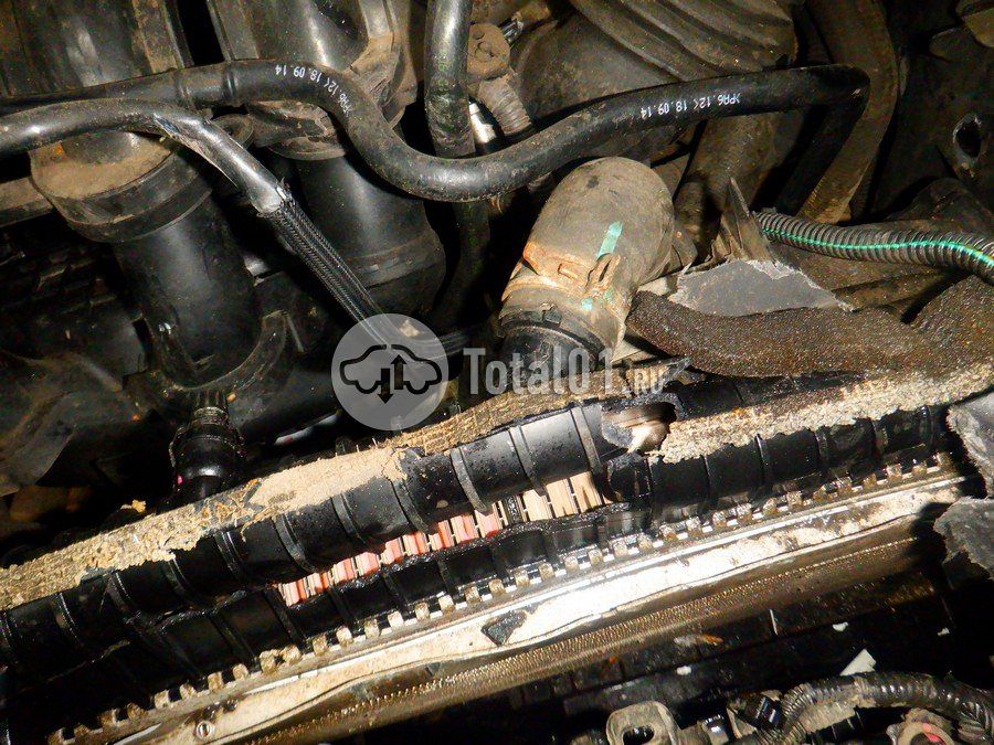 Фото Ford EcoSport 250