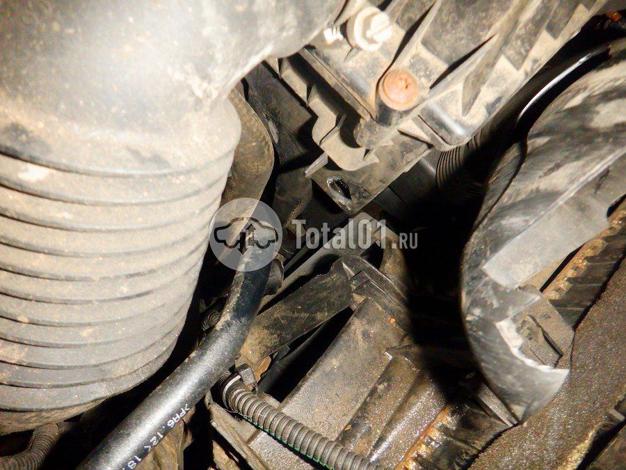 Фото Ford EcoSport 252