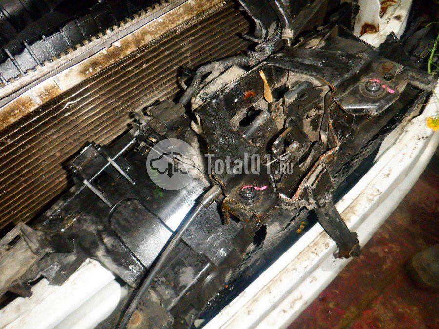 Фото Ford EcoSport 258