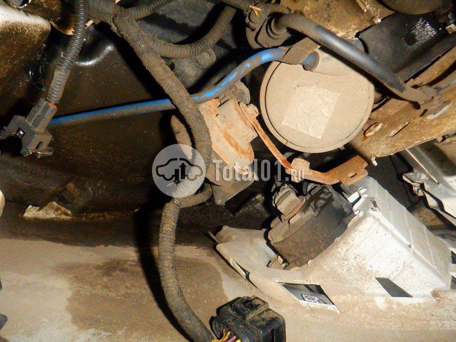 Фото Ford EcoSport 268