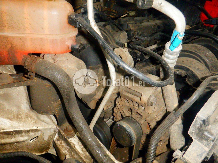 Фото Ford EcoSport 272