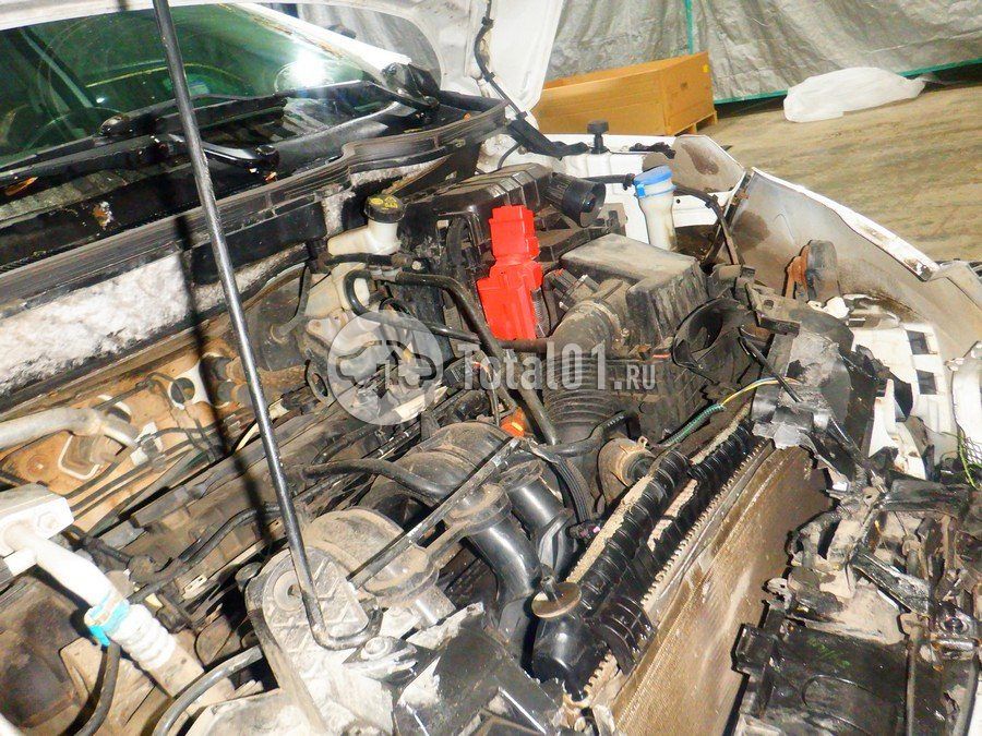 Фото Ford EcoSport 274