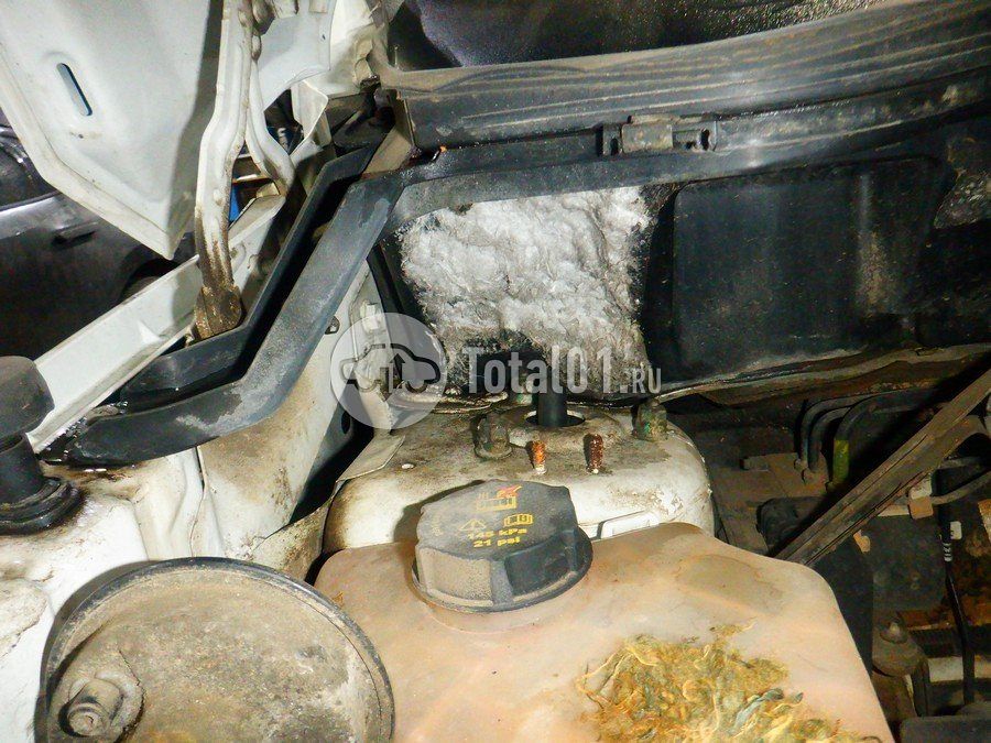 Фото Ford EcoSport 298