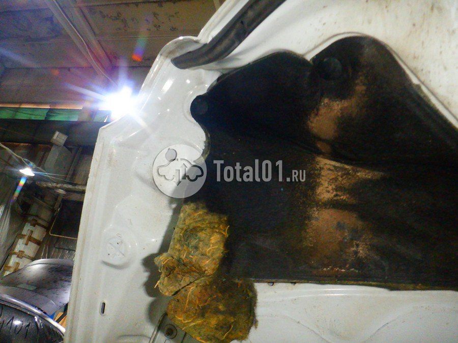 Фото Ford EcoSport 302