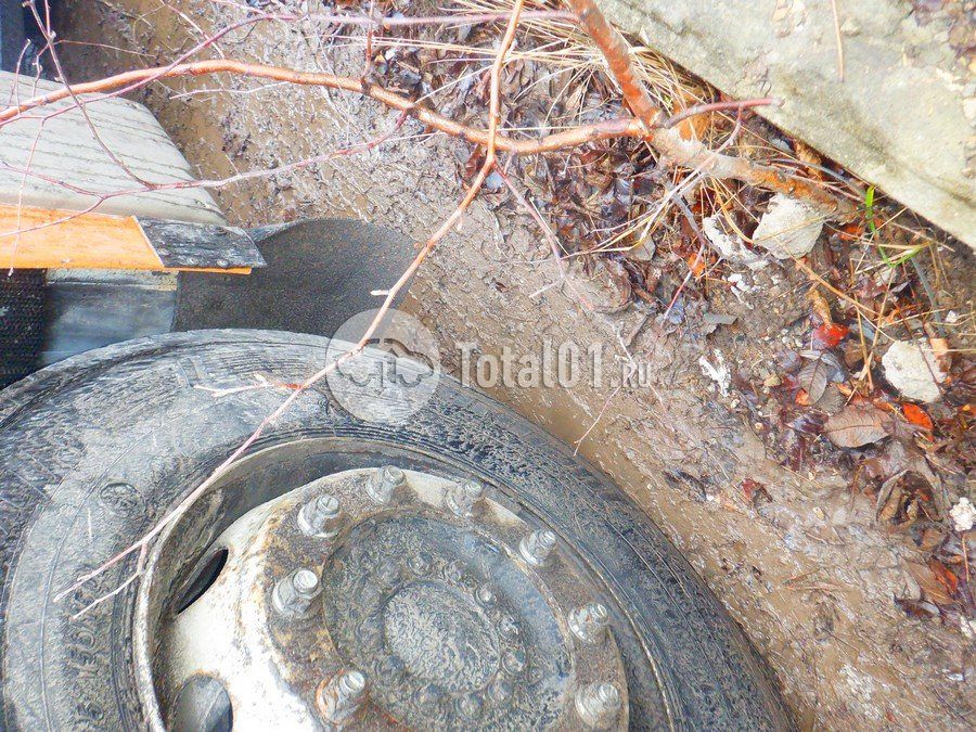 Фото MAN TGS 224