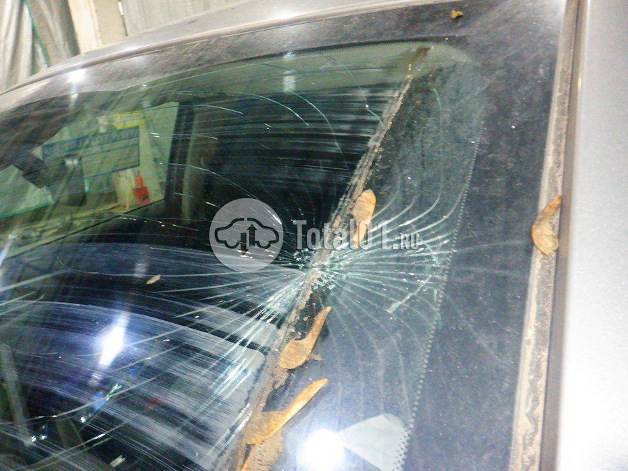 Фото Haval F7X 142