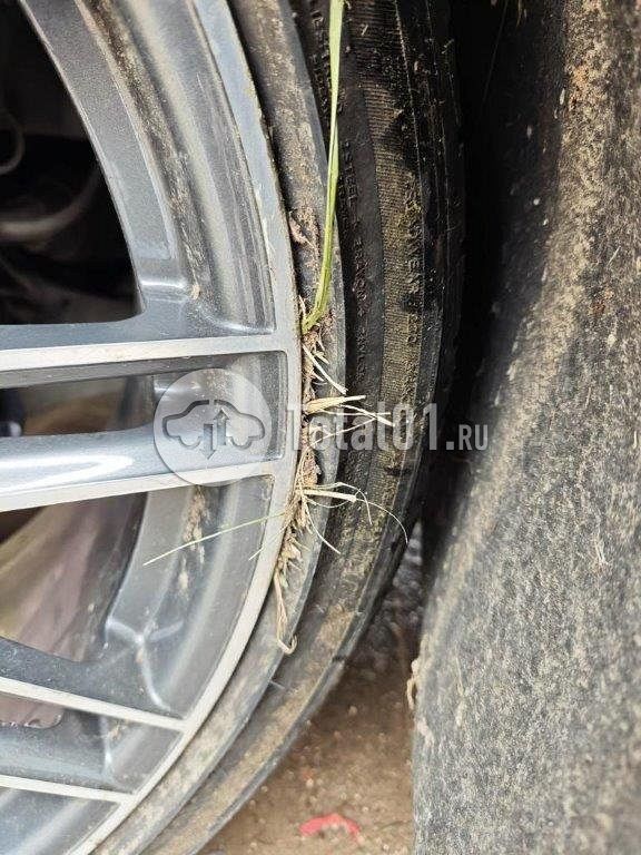 Фото Porsche Cayenne 148