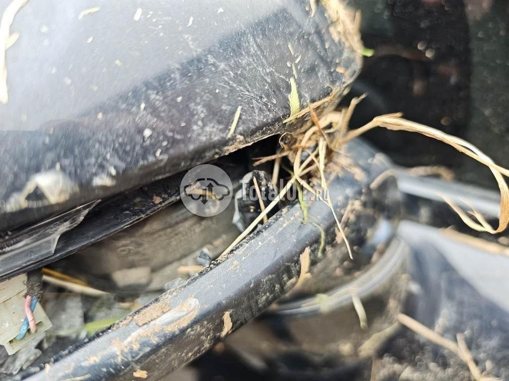 Фото Porsche Cayenne 342