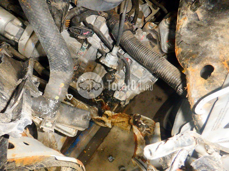 Фото Mitsubishi Xpander 248