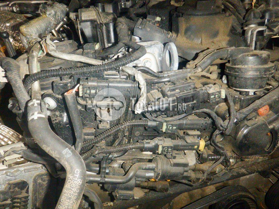 Фото Mercedes-Benz E220 298