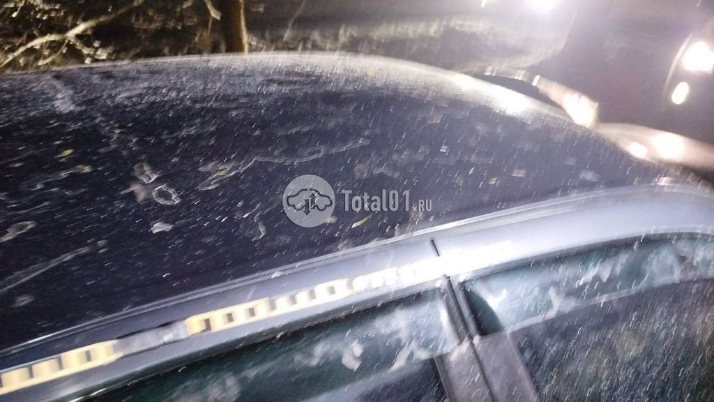 Фото Toyota Camry 40