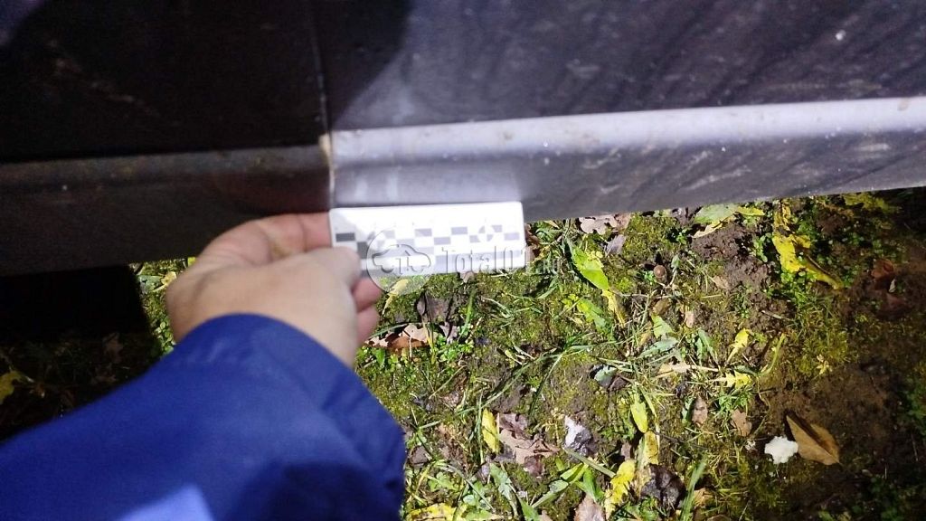 Фото Toyota Camry 56