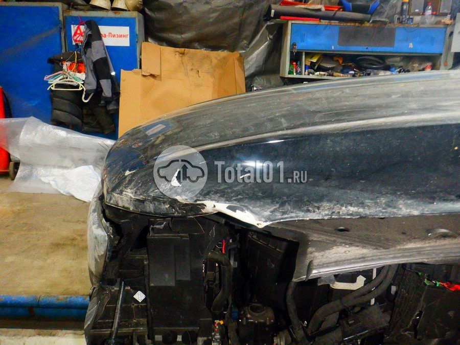 Фото Knewstar G11 240