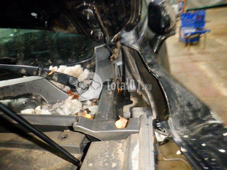 Фото Knewstar G11 252