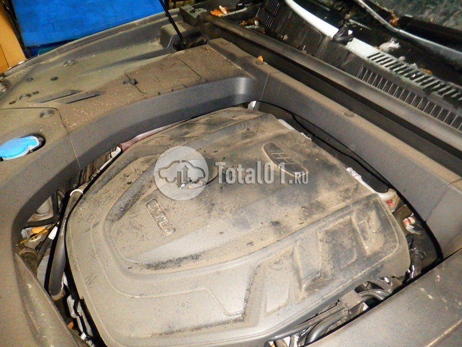 Фото Knewstar G11 258