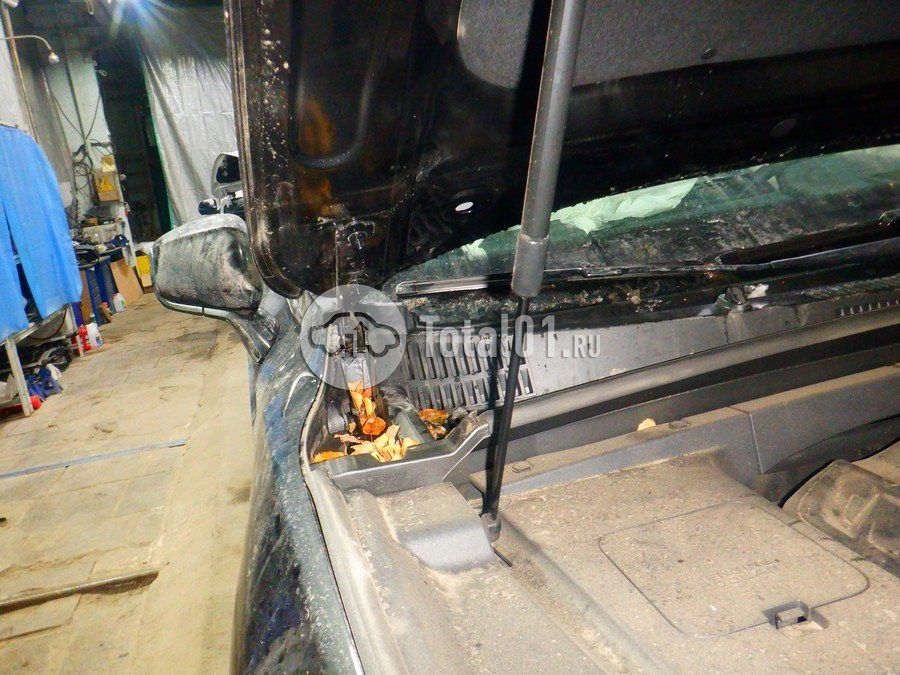 Фото Knewstar G11 268