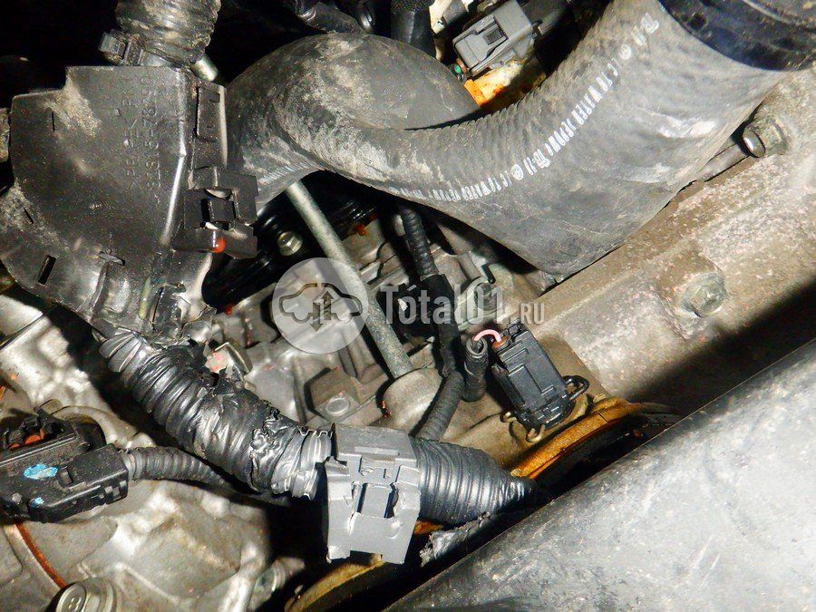 Фото Lexus RX 296