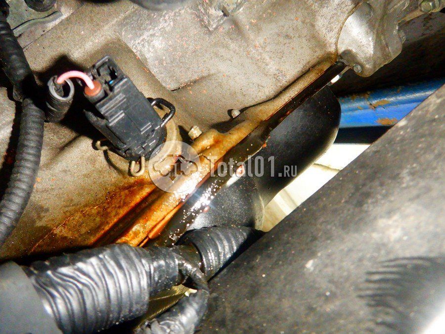 Фото Lexus RX 302