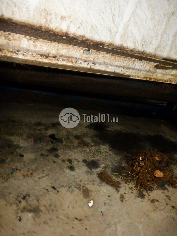 Фото Infiniti FX37 186