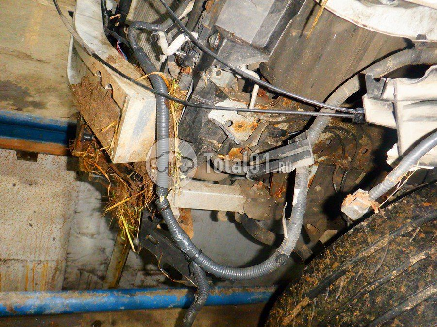 Фото Infiniti FX37 314