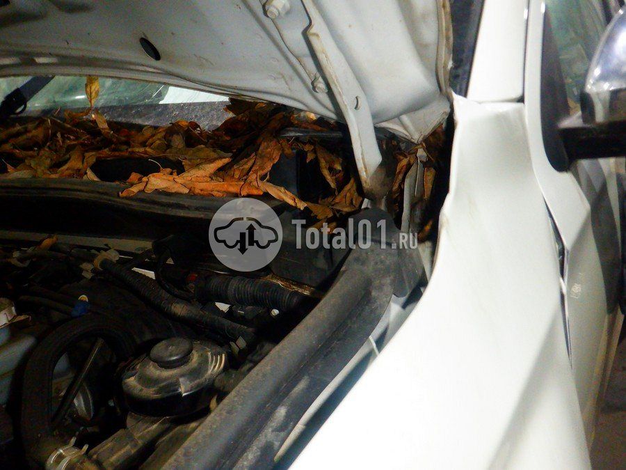 Фото Mitsubishi L200 180