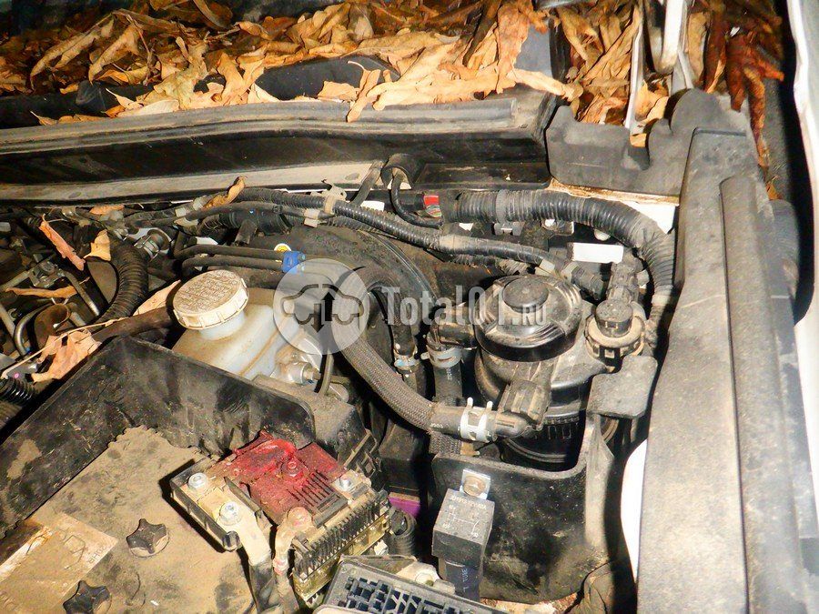 Фото Mitsubishi L200 182