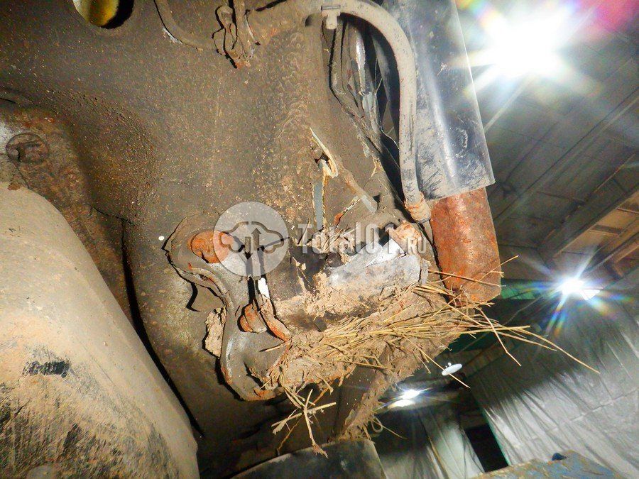 Фото Opel Astra 344