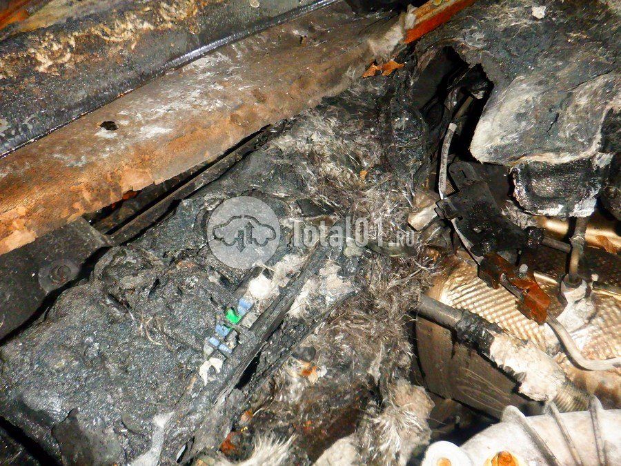 Фото Land Rover Range Rover 204