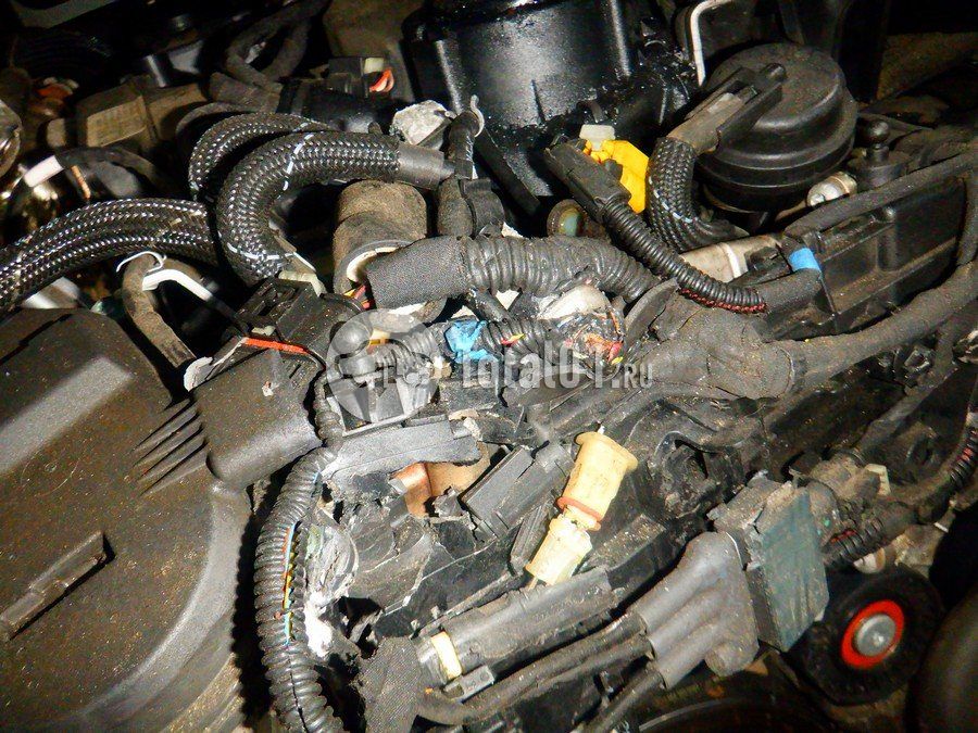 Фото Mercedes-Benz V-класс 298