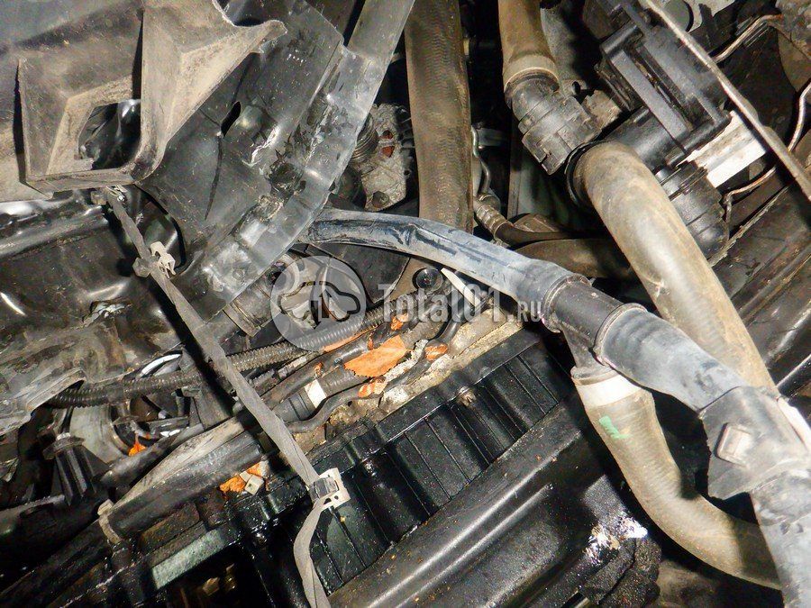 Фото Mercedes-Benz V-класс 384