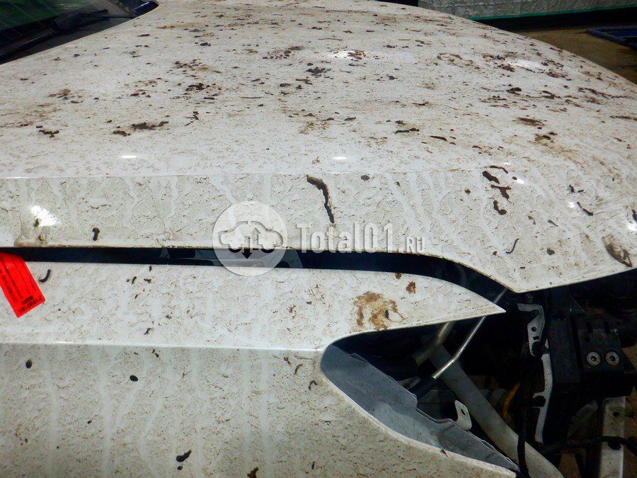 Фото Haval Jolion 110