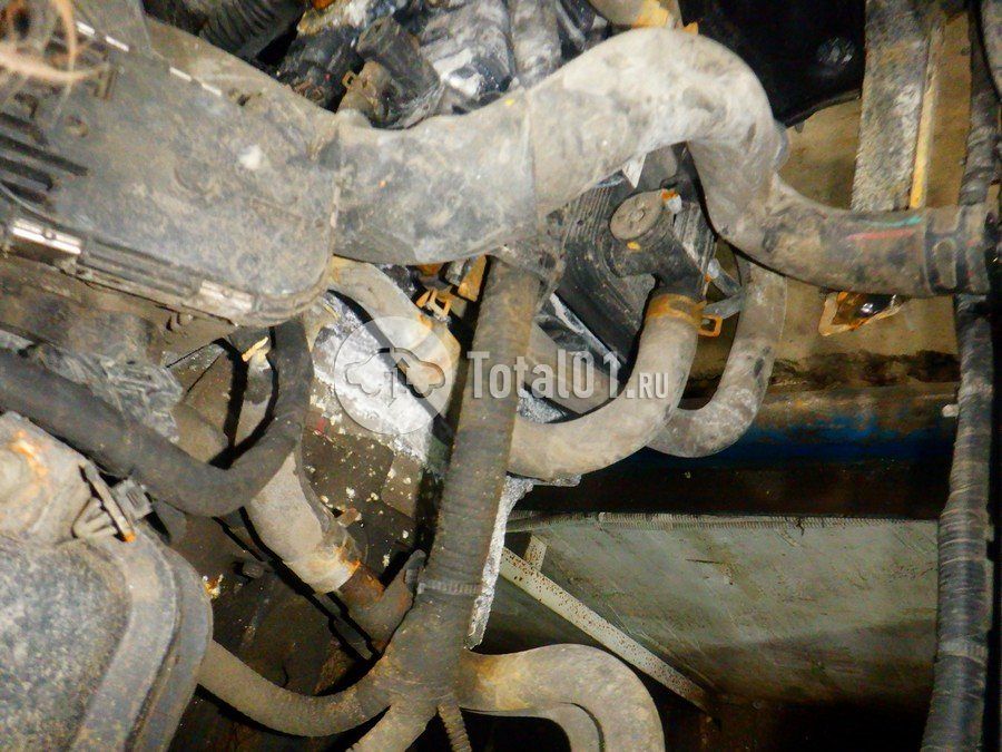 Фото KIA Sorento 248