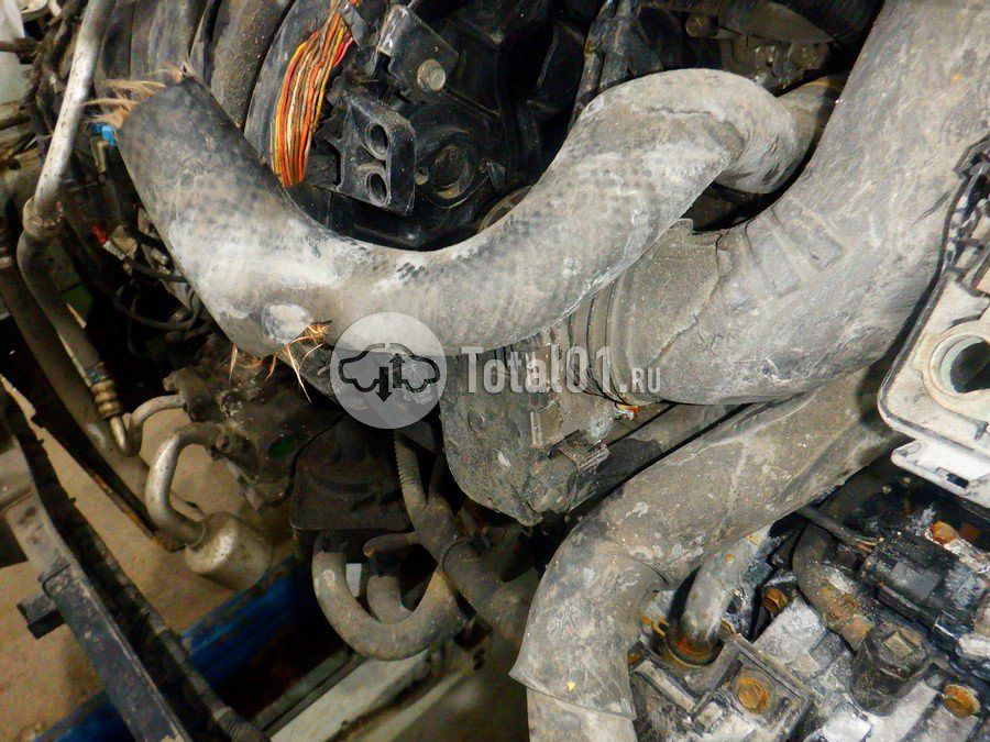 Фото KIA Sorento 268