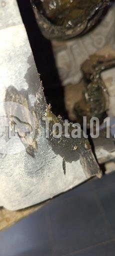 Фото Belgee X50 244