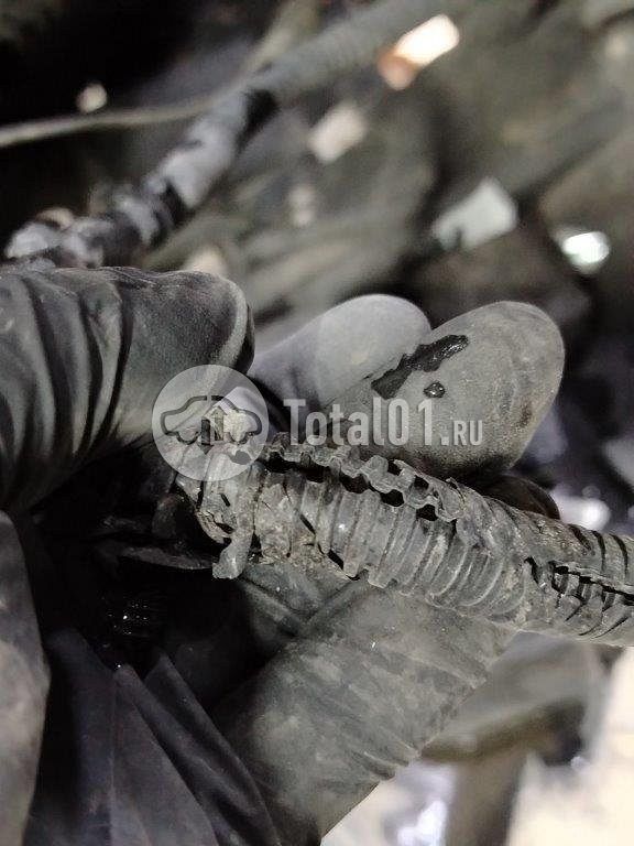 Фото Ford Kuga 394