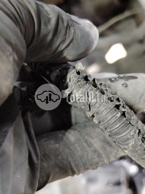 Фото Ford Kuga 396