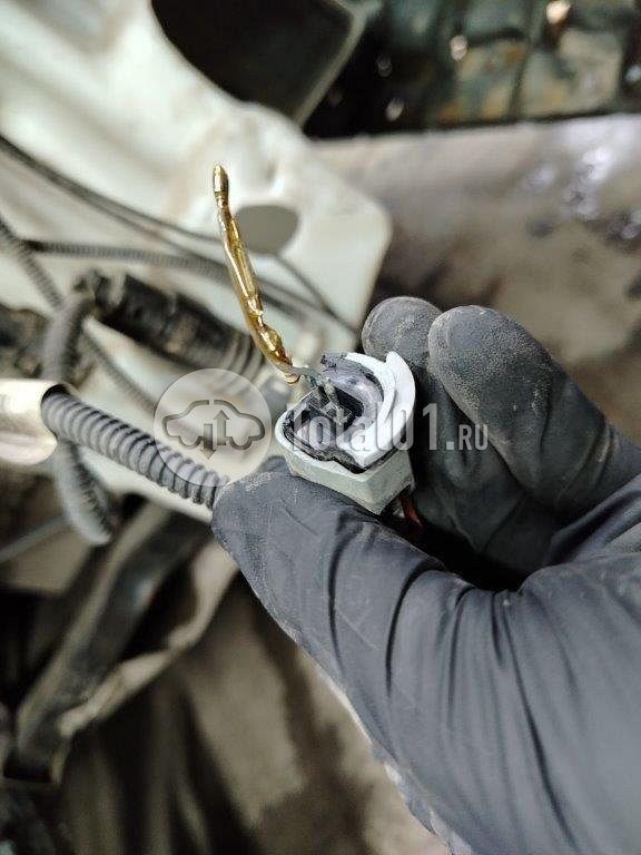 Фото Ford Kuga 432