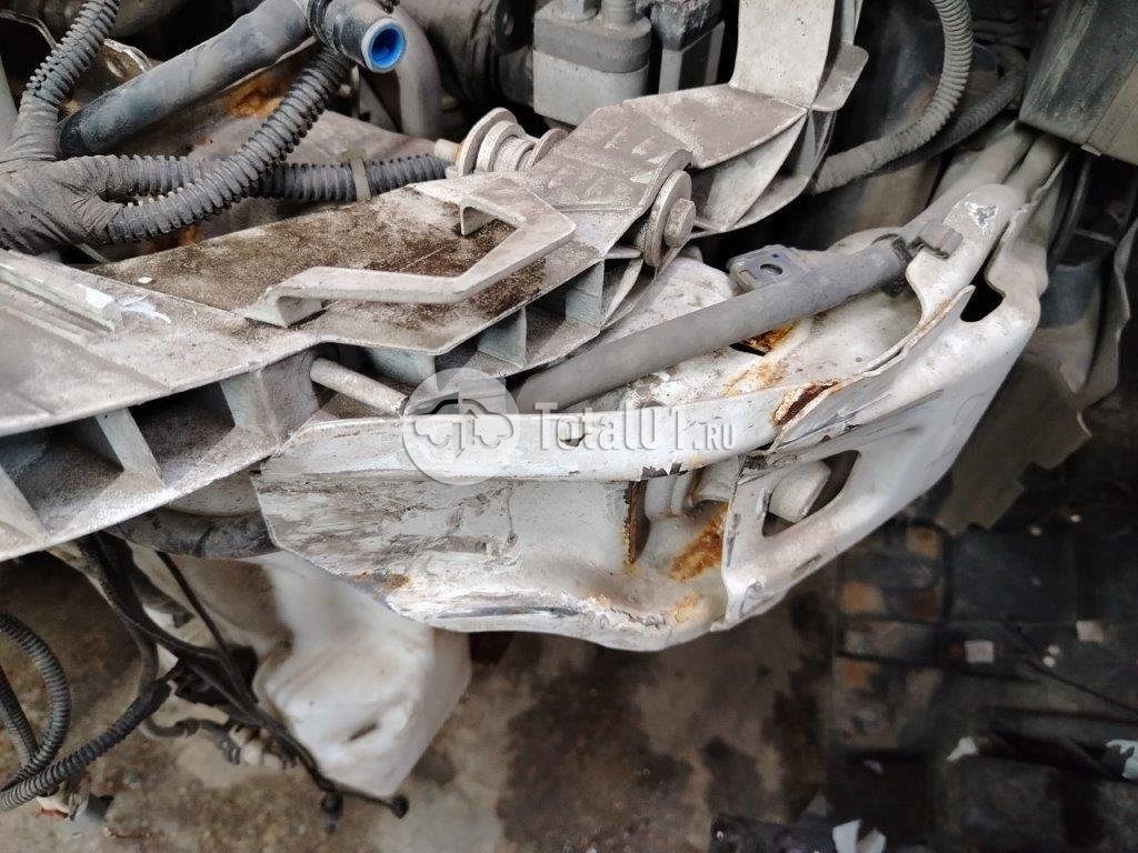 Фото Ford Kuga 442