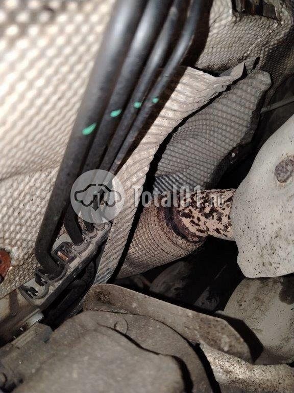 Фото Ford Kuga 664