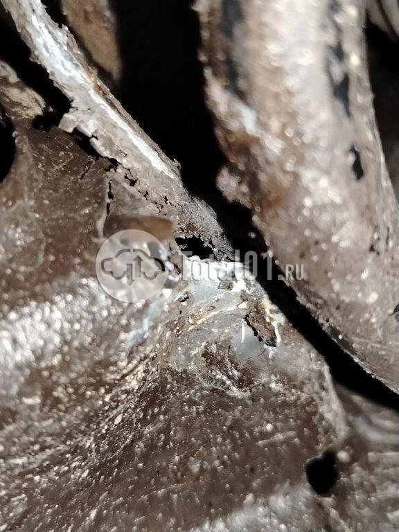 Фото Ford Kuga 712