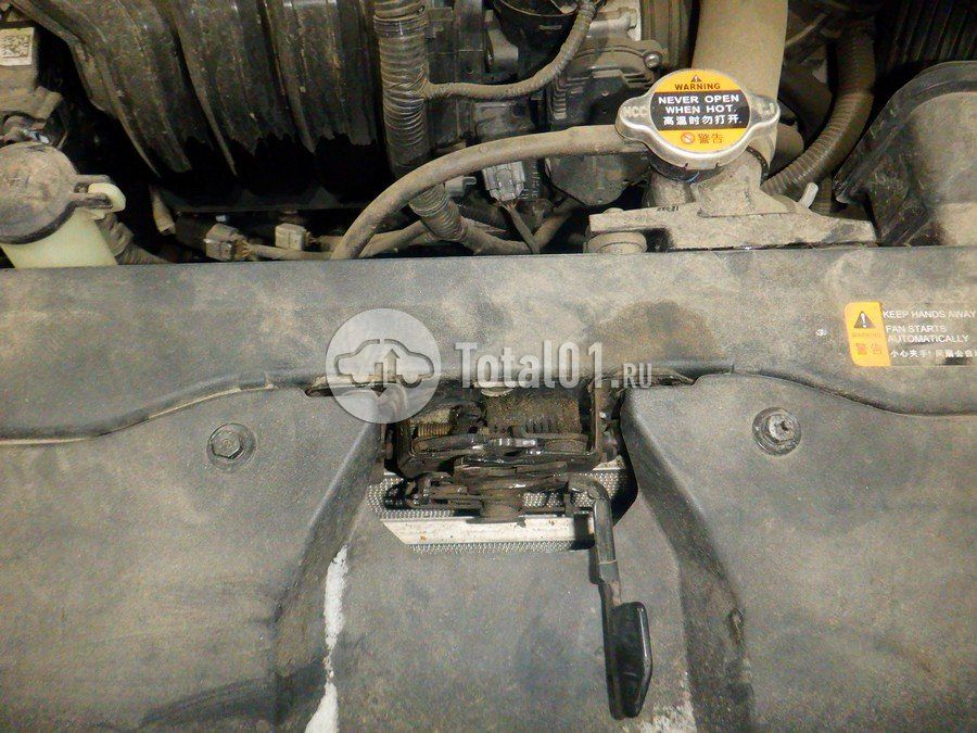 Фото Hyundai Elantra 216