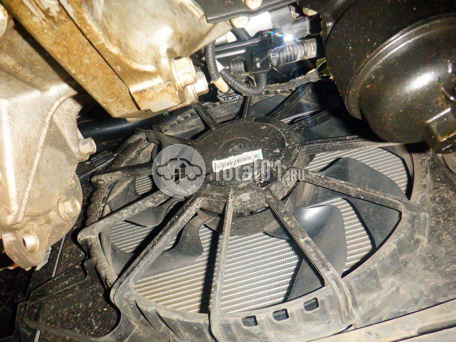 Фото Hyundai Elantra 350