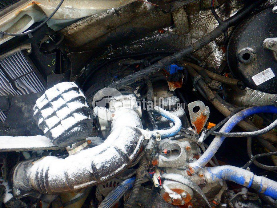 Фото ГАЗ ГАЗель Next 110