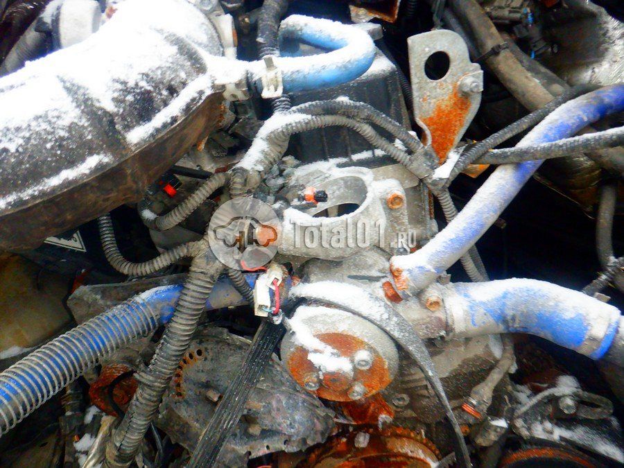 Фото ГАЗ ГАЗель Next 142