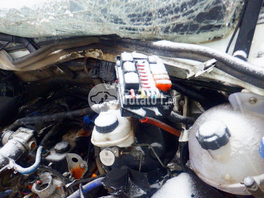 Фото ГАЗ ГАЗель Next 172