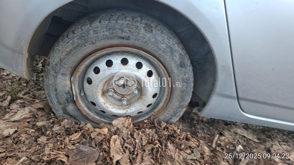 Фото Toyota Corolla Runx 40