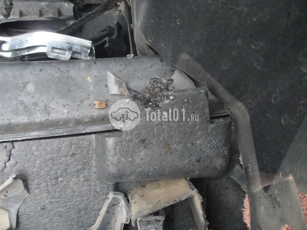 Фото Skoda Kodiaq 102