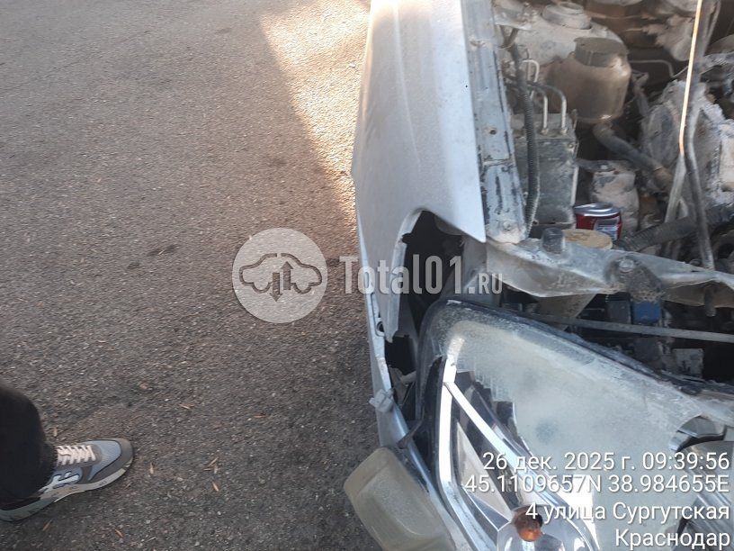 Фото Nissan Liberty 42